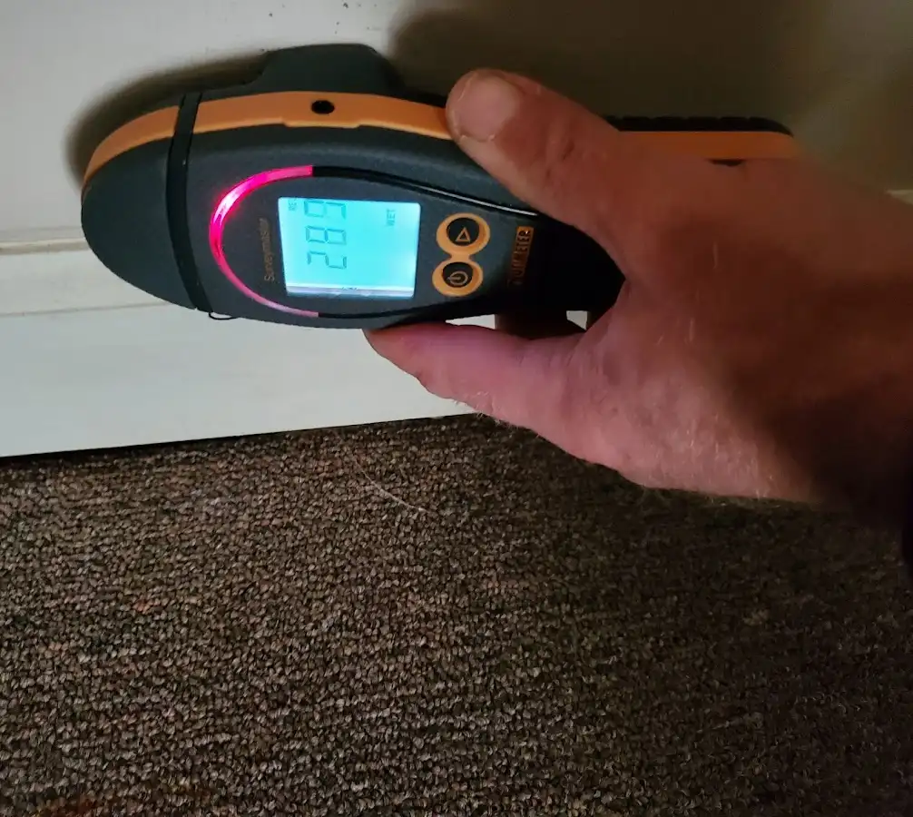 Moisture detection at baseboard during Mold Inspection & Testing in Snowflake